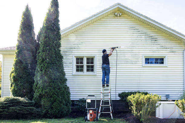 Best Affordable Pressure Washing  in Enlow, PA