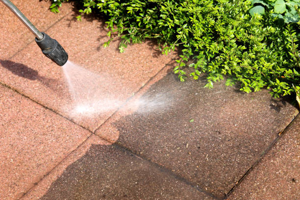 Best Roof Pressure Washing  in Enlow, PA